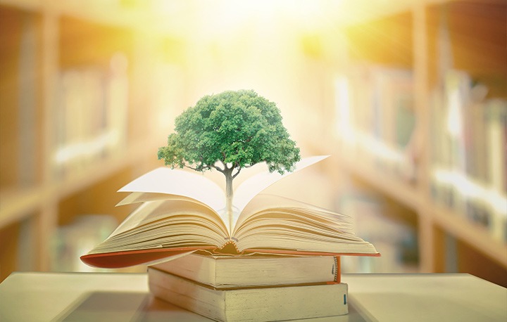 Education-for-Sustainable-Development-(ESD) 1.jpg
