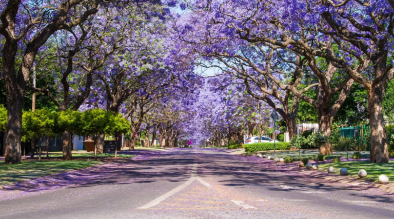 Pretoria