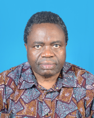 Prof PMD Rwelamila